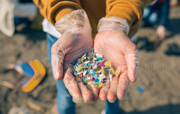 What Are Microplastics?